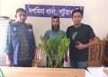 দশমিনায় সাড়ে ৩ ফুট গাঁজা গাছসহ যুবক গ্রেপ্তার