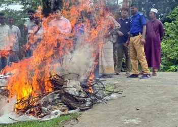কলাপাড়ায় অবৈধ জাল বিক্রির দায়ে একজনে ৭ দিনের কারাদন্ড; পোড়ানো হলো ৫০ হাজার টাকার জাল