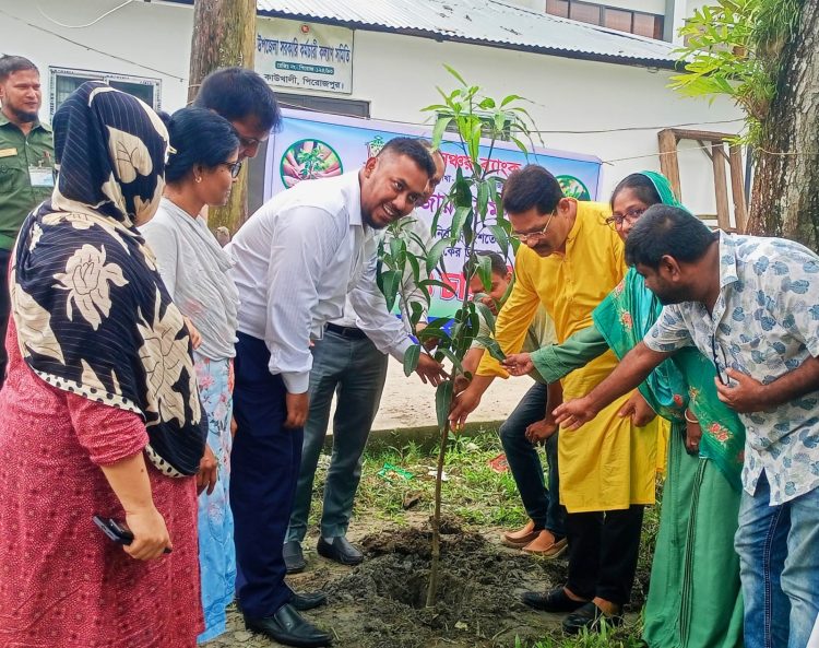 কাউখালীতে পল্লী সঞ্চয় ব্যাংকের উদ্যোগে বৃক্ষরোপণ ও চারা বিতরণ