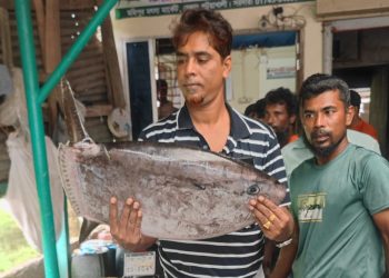 সাগরে জেলের জালে ধরা পড়ল বিরল ‘স্লেন্ডার সানফিশ’, দেখতে মানুষের ভিড়