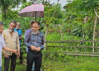 দুমকিতে সরকারি রাস্তায় বাঁশের বেড়া দিয়ে চাষাবাদ, ৭ দিনের মধ্যে অপসারণের নির্দেশ