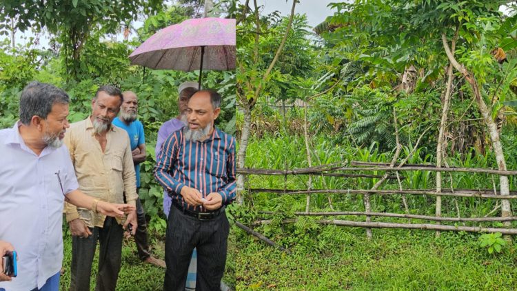 দুমকিতে সরকারি রাস্তায় বাঁশের বেড়া দিয়ে চাষাবাদ, ৭ দিনের মধ্যে অপসারণের নির্দেশ