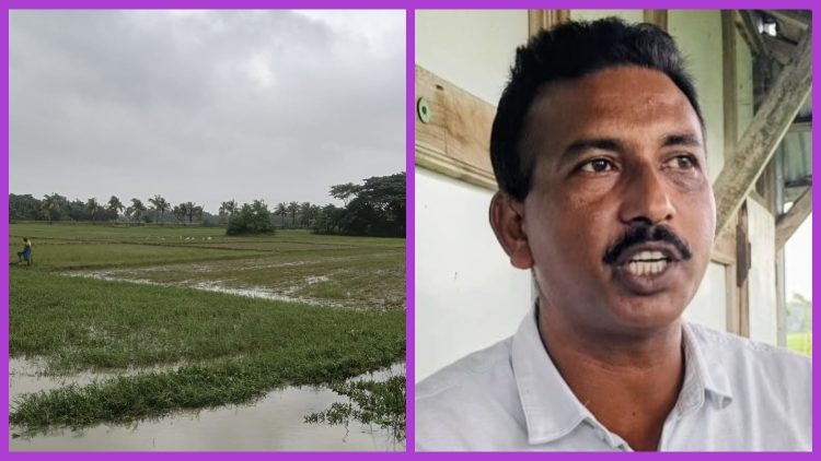 কলাপাড়ায় কৃষিজমিতে চাষাবাদে বাধা, ৭ লাখ টাকা চাঁদা দাবির অভিযোগে আদালতে মামলা