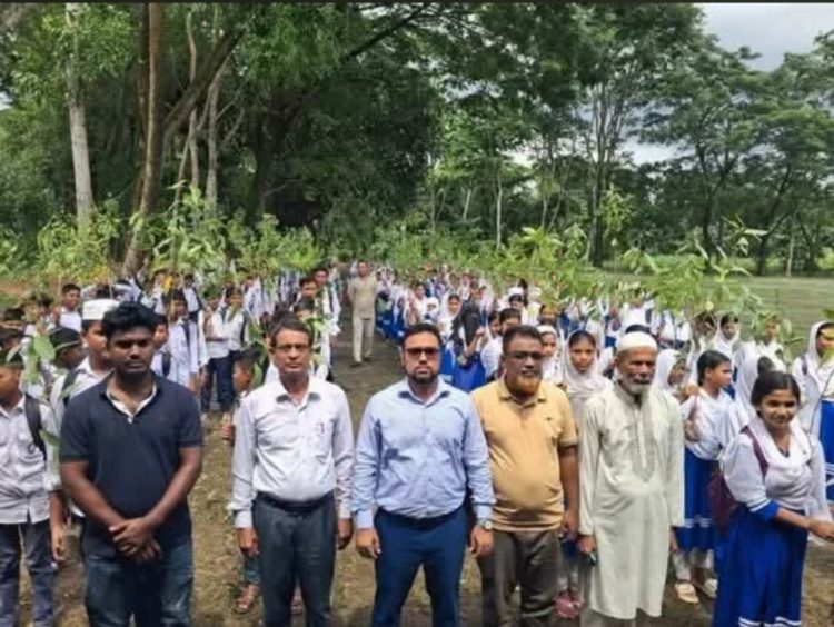 বাউফলে শিক্ষার্থীদের হাতে গাছের চারা তুলে দিলেন ইউএনও