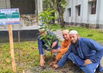 দশমিনা প্রেসক্লাবের উদ্যোগে বৃক্ষরোপণ কর্মসূচি