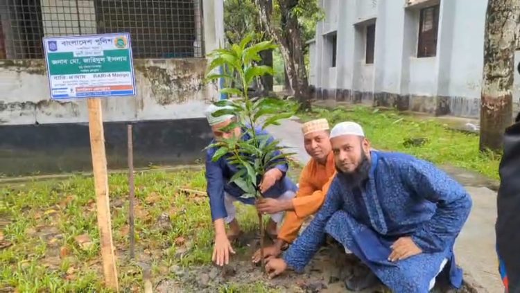 দশমিনা প্রেসক্লাবের উদ্যোগে বৃক্ষরোপণ কর্মসূচি
