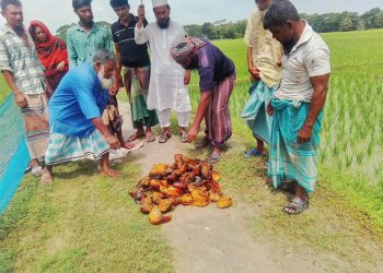 জলবায়ু ঝুঁকি মোকাবিলায় গলাচিপায় ২ কিলোমিটার সড়কের পাশে ৩০০ তালবীজ রোপণ