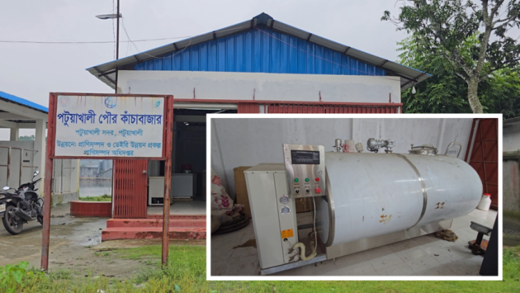 কোটি টাকার মিল্ক চিলিং সেন্টার অচল, দুধ সংরক্ষণের সুবিধা থেকে বঞ্চিত পটুয়াখালীর খামারিরা