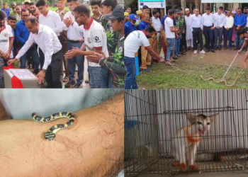 কলাপাড়ায় বন্যপ্রাণী পরিচর্যায় ‘এনিমেল শেড’ উদ্বোধন