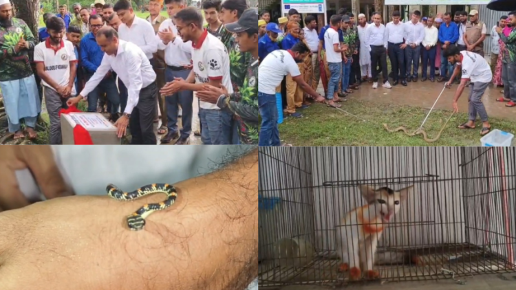 কলাপাড়ায় বন্যপ্রাণী পরিচর্যায় ‘এনিমেল শেড’ উদ্বোধন