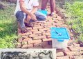 কলাপাড়ায় এনিমেল শেডে প্রথমবারের মতো ফুটল ১৪টি বিষধর গোখরা সাপের বাচ্চা