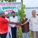 কাউখালীতে গাছের চারা বিতরণ করল আলোর দিশারী ফাউন্ডেশন