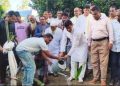 দেবীগঞ্জে সবুজের পথে নতুন অঙ্গীকার, রোপণ করা হবে ২ হাজার তালগাছ