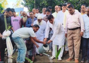 দেবীগঞ্জে সবুজের পথে নতুন অঙ্গীকার, রোপণ করা হবে ২ হাজার তালগাছ