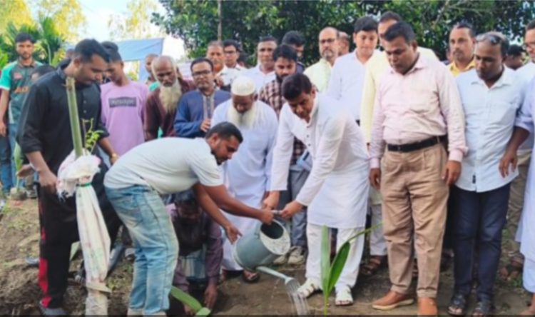 দেবীগঞ্জে সবুজের পথে নতুন অঙ্গীকার, রোপণ করা হবে ২ হাজার তালগাছ