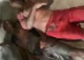 বাগেরহাটের মোরেলগঞ্জে বজ্রপাতে দুই কৃষক ভাইয়ের মর্মান্তিক মৃত্যু
