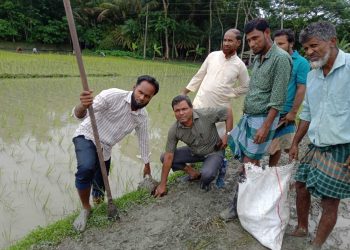 গলাচিপায় জলবায়ু ঝুঁকি মোকাবিলায় তিন শতাধিক তালবীজ রোপণ