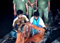 সুন্দরবনে মাছ ধরার সময় নৌকাসহ দুই জেলে আটক