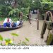 তালতলীতে সেতু ভেঙে খালে, শিক্ষার্থীসহ চার গ্রামের ভরসা এখন নৌকা