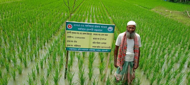 দশমিনায় বিস্তীর্ণ মাঠজুড়ে আমন, ধানচাষে কৃষকের নতুন স্বপ্ন