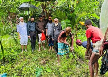 দশমিনায় জলাবদ্ধতায় ৩৬ হেক্টর ফসলি জমি, রাস্তা কেটে পানি নিষ্কাশন