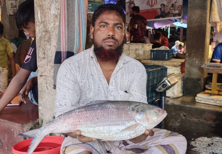 গলাচিপার আগুনমুখায় মিলল আড়াই কেজির রাজা ইলিশ, ১২ হাজারে বিক্রি