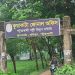 কুয়াকাটা পল্লী বিদ্যুতের ‘ভৌতিক বিলে’ চরম ভোগান্তিতে গ্রাহক