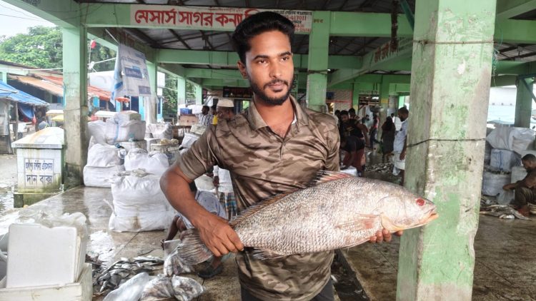 ৮ কেজির কালো দাতিনা ৪০ হাজার টাকায় বিক্রি, কেজি ৫ হাজার