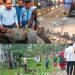 দশমিনায় ডেঙ্গু প্রতিরোধে সভা ও পরিচ্ছন্নতা কার্যক্রম