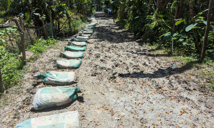 বাউফলে ৮৩ বছর ধরে কাঁচা ভরিপাশা সড়ক, ভোগান্তিতে ৭ হাজার মানুষ