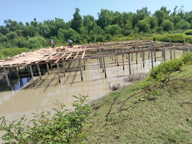 কলাপাড়ায় পরিবেশ সংবেদনশীল গঙ্গামতির সংরক্ষিত ম্যানগ্রোভ বনের পাশেই তোলা হচ্ছে স্থাপনা