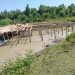 কলাপাড়ায় পরিবেশ সংবেদনশীল গঙ্গামতির সংরক্ষিত ম্যানগ্রোভ বনের পাশেই তোলা হচ্ছে স্থাপনা