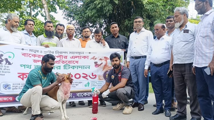 বাকেরগঞ্জে জলাতঙ্ক প্রতিরোধে পথকুকুরকে টিকা প্রদান কর্মসূচি শুরু