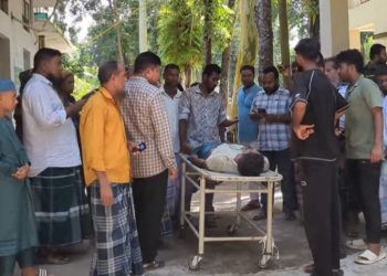 বাকেরগঞ্জে গাছ থেকে পড়ে দিনমজুরের মৃত্যু