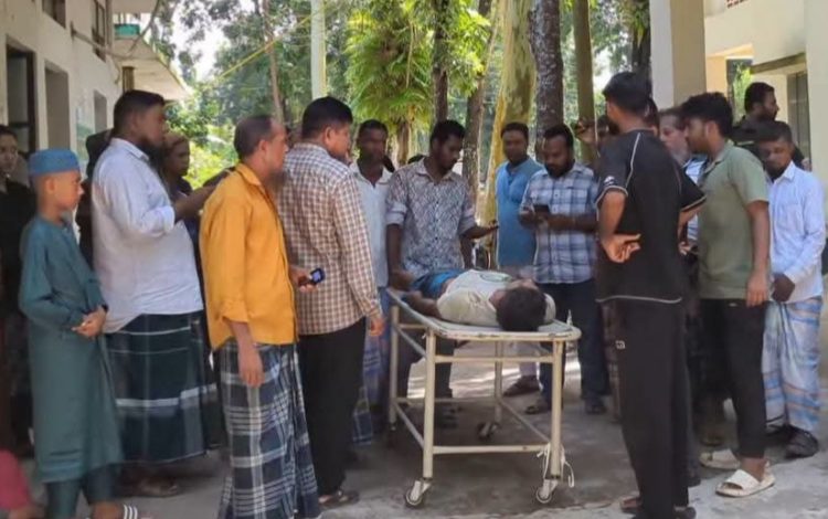 বাকেরগঞ্জে গাছ থেকে পড়ে দিনমজুরের মৃত্যু