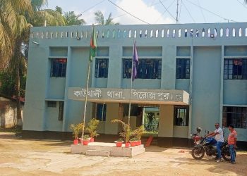 কাউখালীতে গাছে উঠে বিদ্যুৎস্পৃষ্ট হয়ে বৃদ্ধের মৃত্যু
