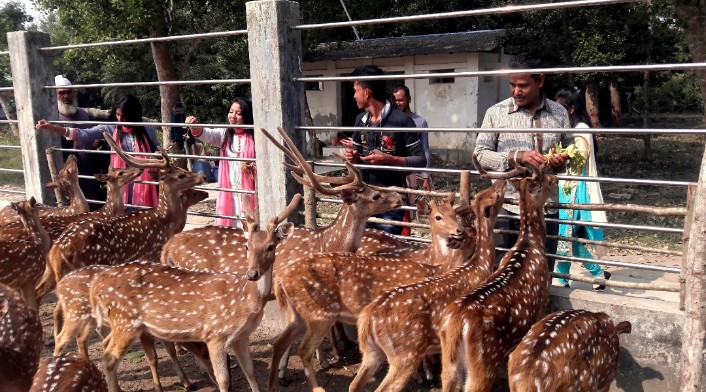 বিশ্ব পর্যটন দিবসে ইকোট্যুরিজম সুন্দর বনের করমজলে পর্যটকের ঢল