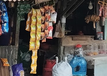 কাউখালীতে অনুমোদনহীন ও মেয়াদোত্তীর্ণ শিশুখাদ্যে সয়লাব: বাড়ছে ডায়রিয়া ও পেটের রোগ, স্বাস্থ্য ঝুঁকিতে কোমলমতিরা