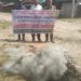 কাউখালীতে মা ইলিশ রক্ষায় কঁচা নদীতে অভিযান: ২৫০০ মিটার অবৈধ জাল জব্দ ও ধ্বংস