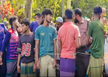 বাউফলে মা ইলিশ ধরার নিষেধাজ্ঞা অমান্য, ৮ জেলেকে দণ্ডাদেশ