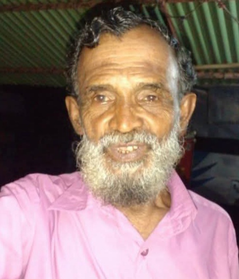 বাউফলে গাছের ডাল মাথায় পড়ে বিএনপি নেতার মৃত্যু