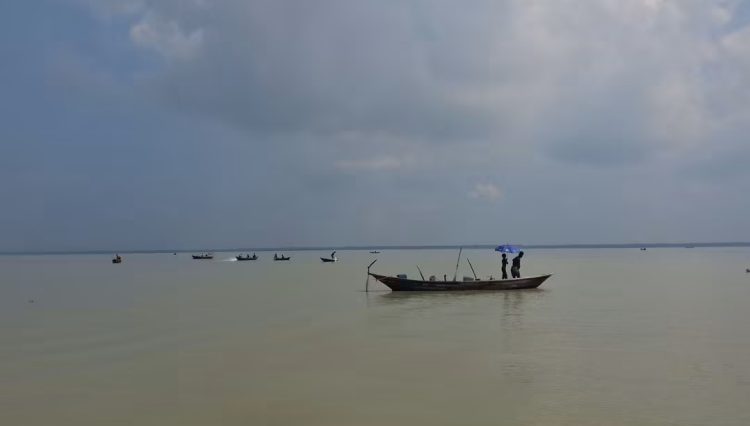 ৮ মাস ঝাটকা শিকার নিষিদ্ধ: ইলিশের উৎপাদন বাড়াতে জনসচেতনতা জরুরি