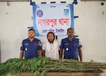 টাঙ্গাইলের নাগরপুরে পাঁচটি গাঁজা গাছসহ ব্যবসায়ী আটক