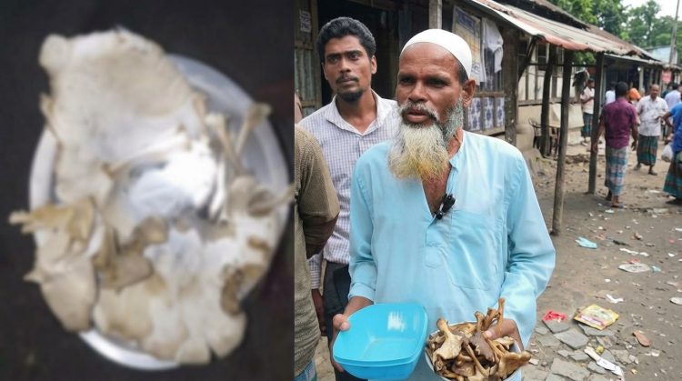 দুমকিতে ‘স্বপ্নে পাওয়া ফুল’ দিয়ে চিকিৎসার দাবি, রোগী সমাগমে চাঞ্চল্য