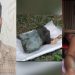 কলাপাড়ায় নিখোঁজের ৫০ ঘণ্টা পর খাল থেকে ১০ মাসের শিশু রায়হানের মরদেহ উদ্ধার, খালু গ্রেপ্তার