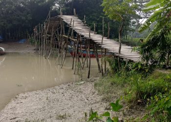 দশমিনার চরবোরহানে বাঁশের সাঁকোয় ঝুঁকিপূর্ণ চলাচল