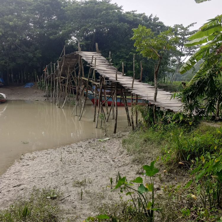 দশমিনার চরবোরহানে বাঁশের সাঁকোয় ঝুঁকিপূর্ণ চলাচল
