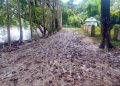 ৪ কিলোমিটার রাস্তার বেহাল দশা চিকিৎসার জন্য রোগী নিতে হয় মরদেহ বহণকারী খাটে