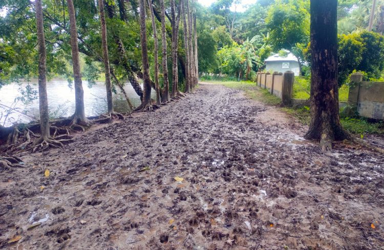৪ কিলোমিটার রাস্তার বেহাল দশা চিকিৎসার জন্য রোগী নিতে হয় মরদেহ বহণকারী খাটে