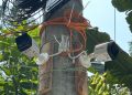 বাকেরগঞ্জে দুর্গা মন্দিরে সিসি ক্যামেরা স্থাপনে বাধা দেওয়ার অভিযোগ